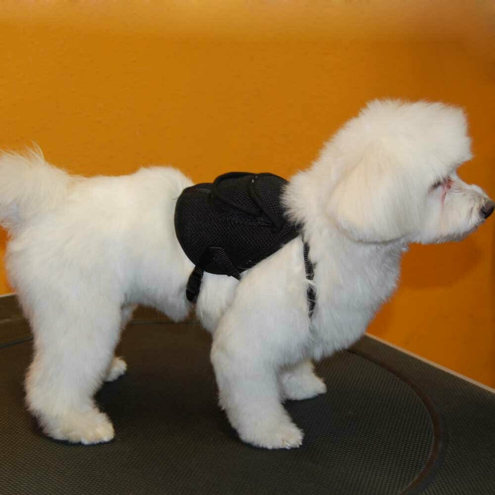 Backback Harness for Dogs by GogiPet ® incl. Leash