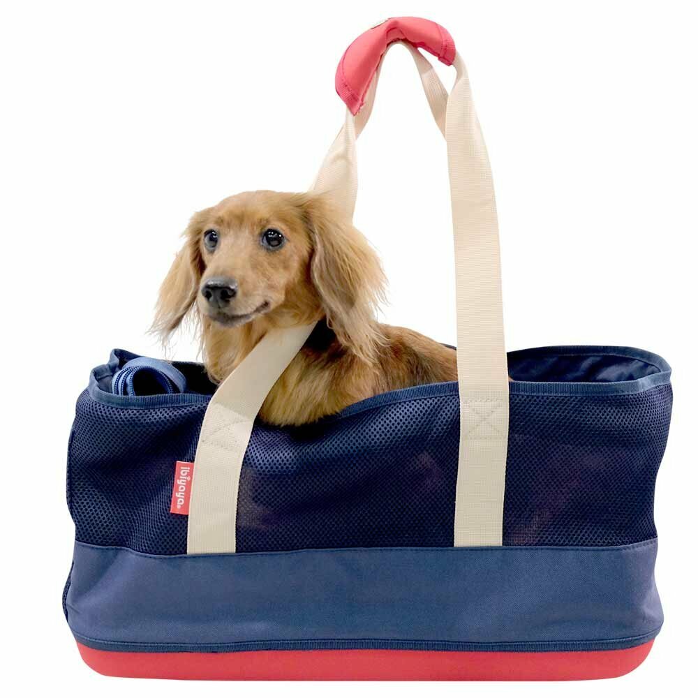 Dachshund carrier the dog carrier for the Dachshund