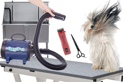 Equipment for dog groomers