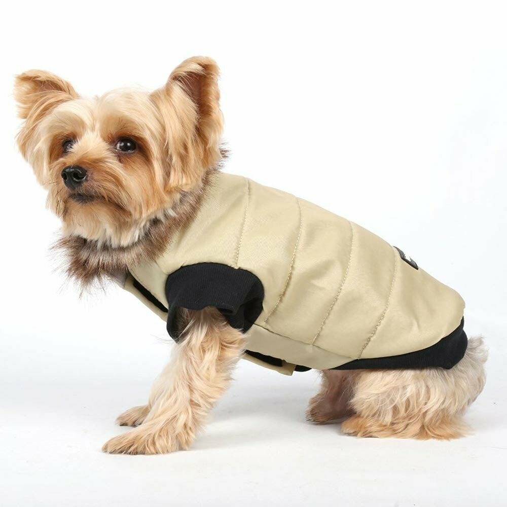Warm dog clothes by Doggydolly with guaranteed lowest price