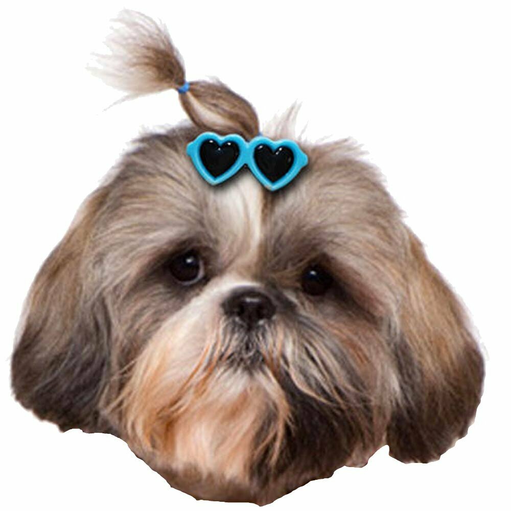 Hair clip for dogs - cool sunglasses