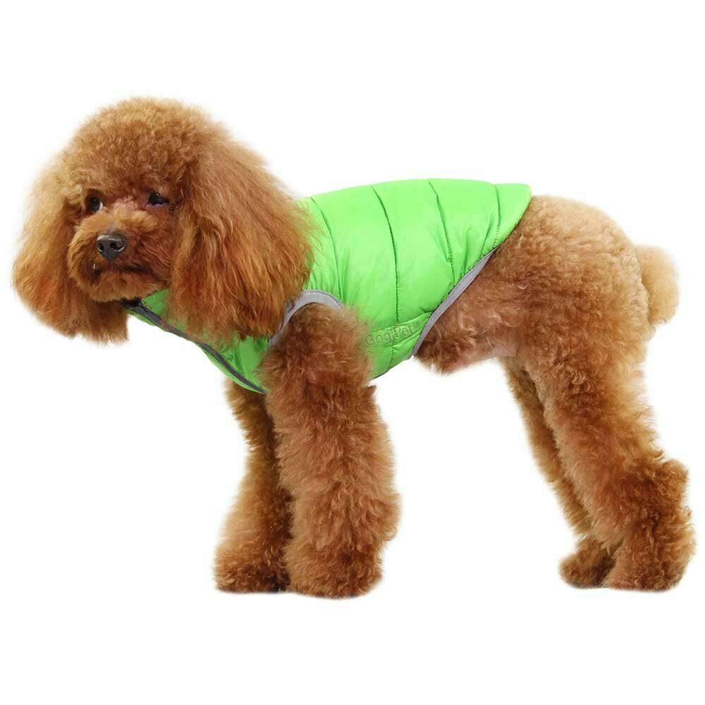 High-quality dog clothing with down filling
