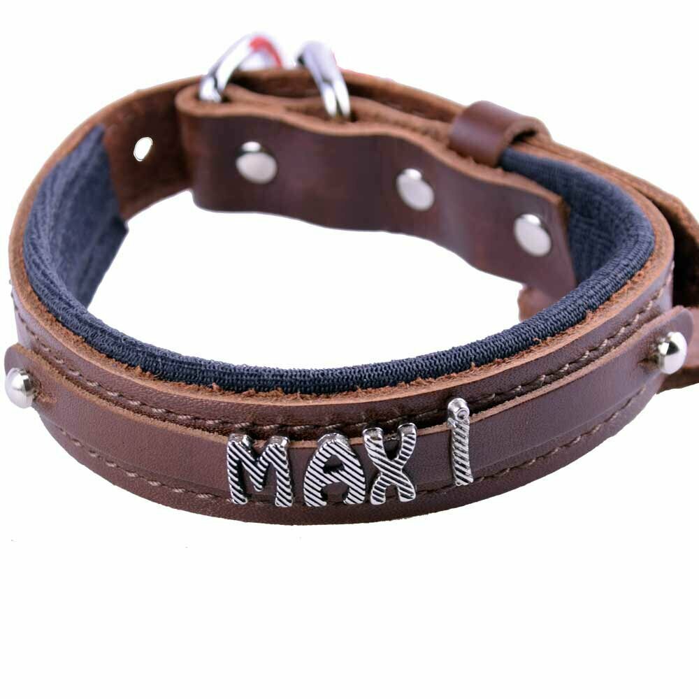 Design a name collar for your dog