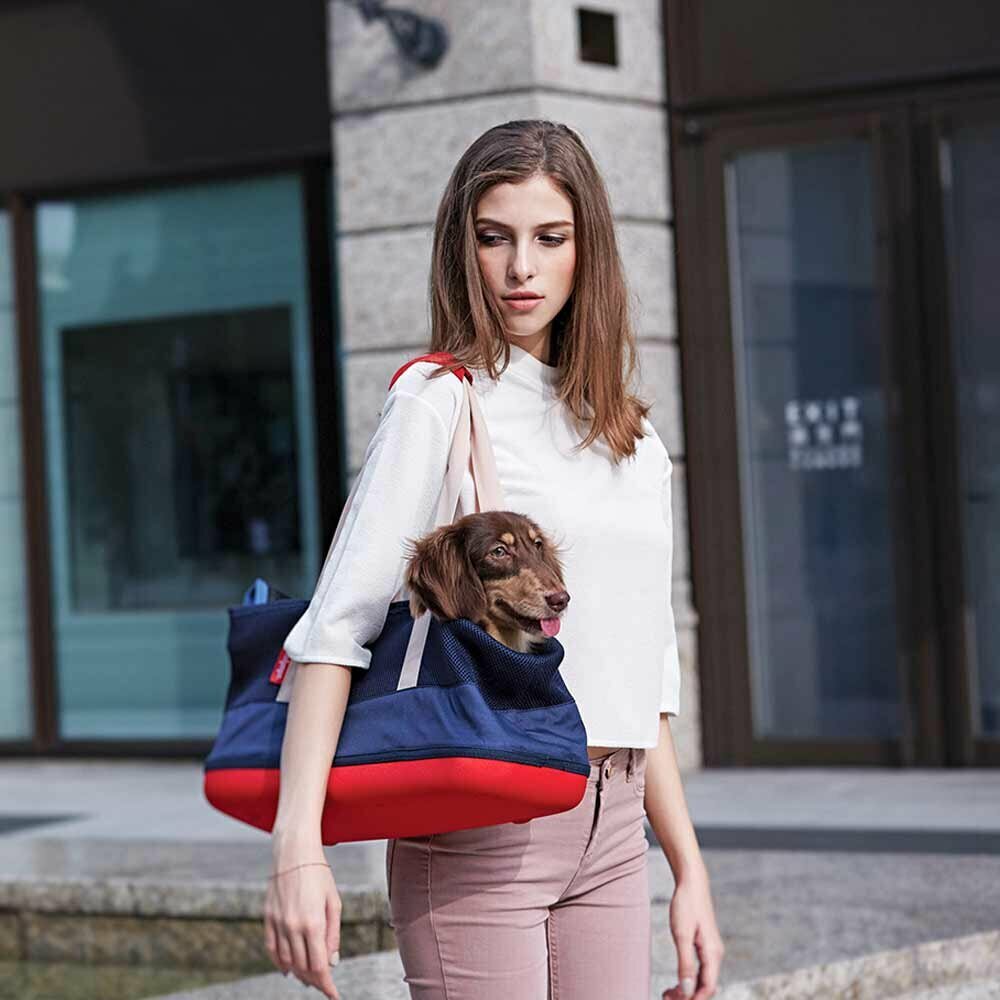 Fashionable, breathable dog carrier
