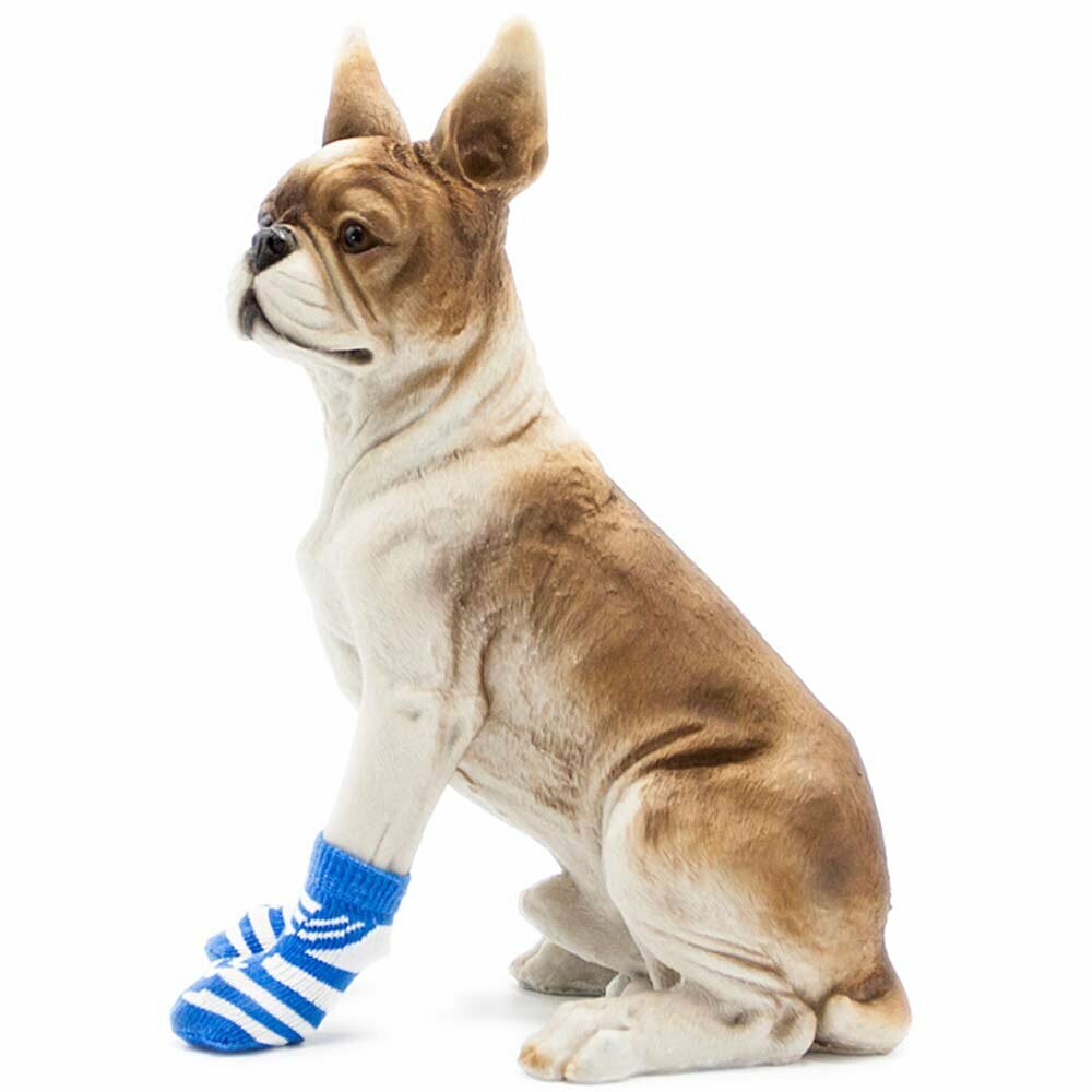 Cheap dog socks to buy in good quality