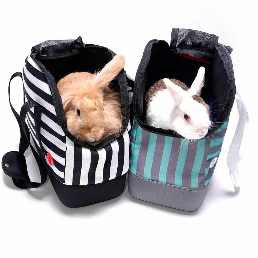 Animal transport bags recommended by GogiPet
