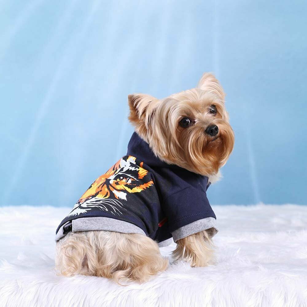 Beautiful sweater for dogs for the winter