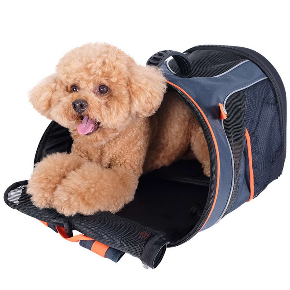 Dog backpack, dog bag and resting place for dogs