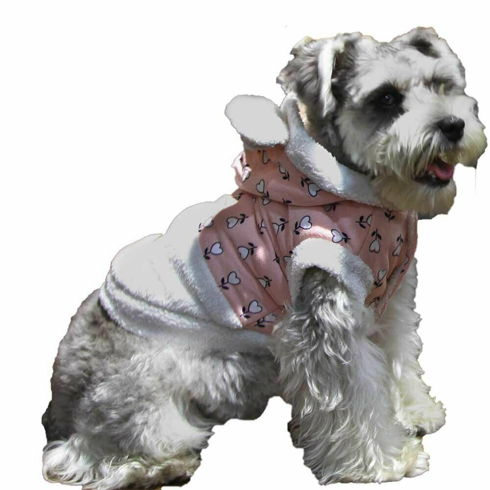 Warm dog clothes from GogiPet at an affordable price