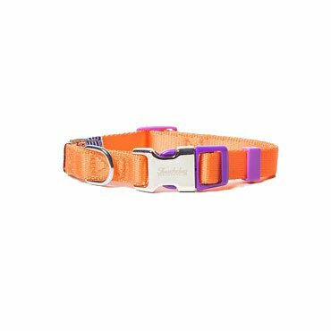 Touchdog dog collar and leash in the set peacock orange S