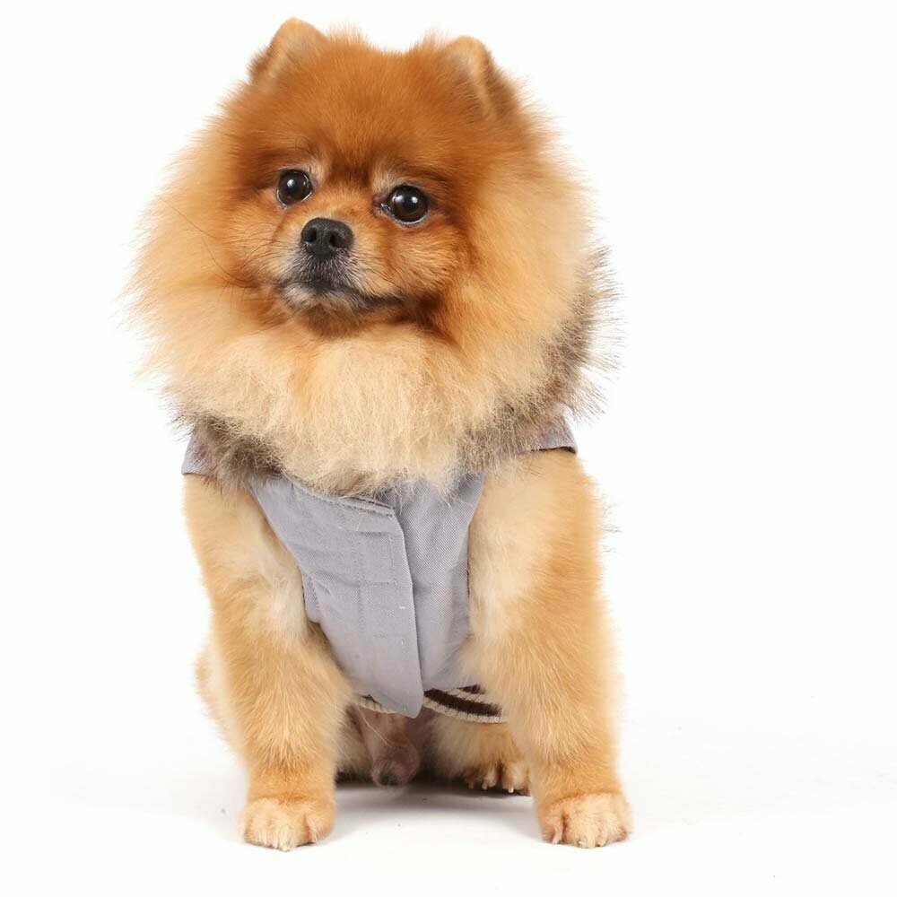 Warm dog garment for the cold winter