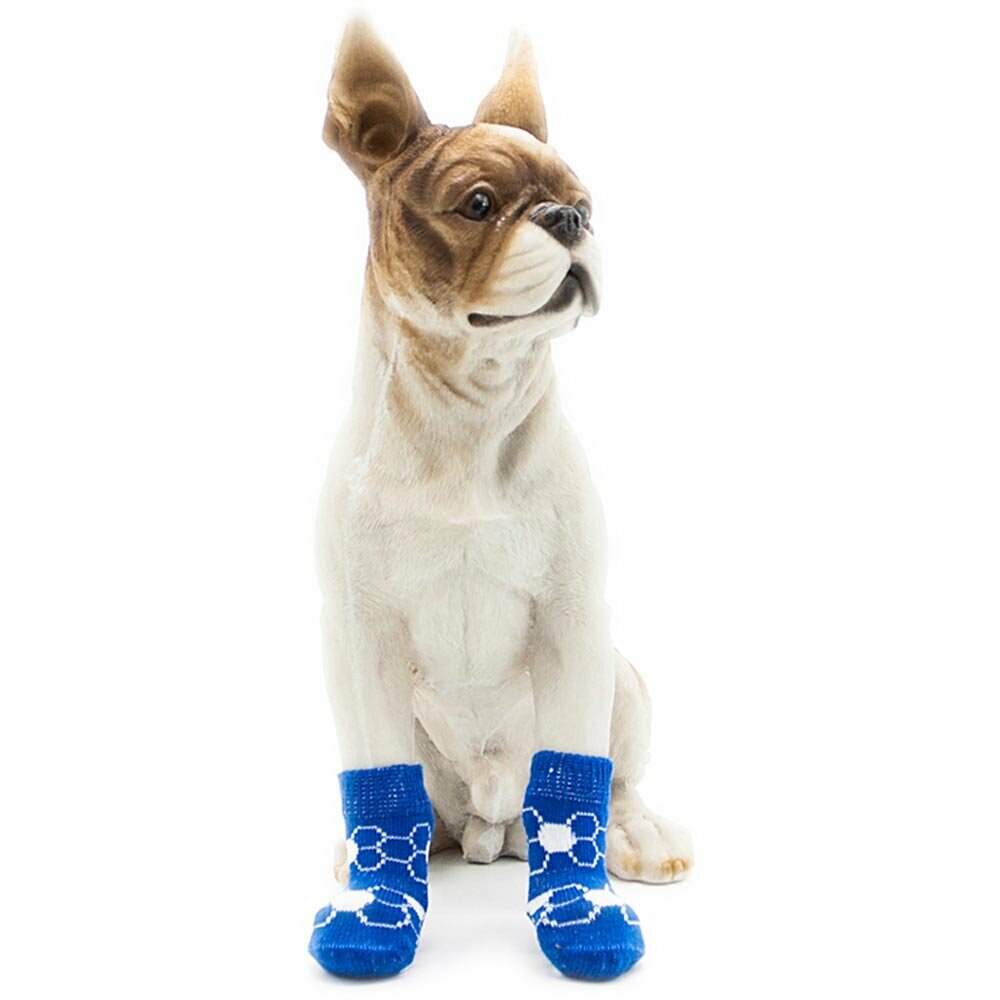 Dog socks blue with white white circles