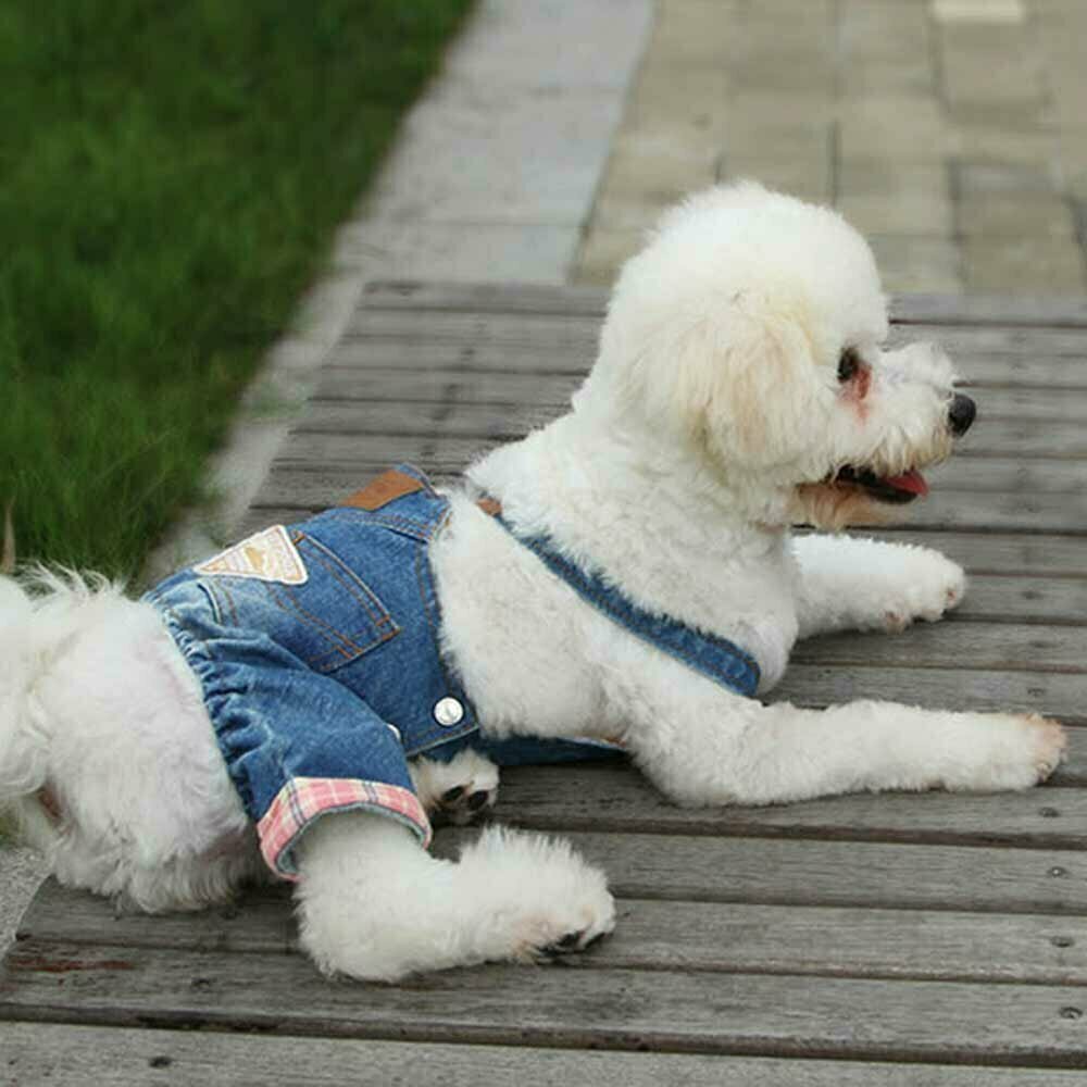 Jeans pants for dogs blue