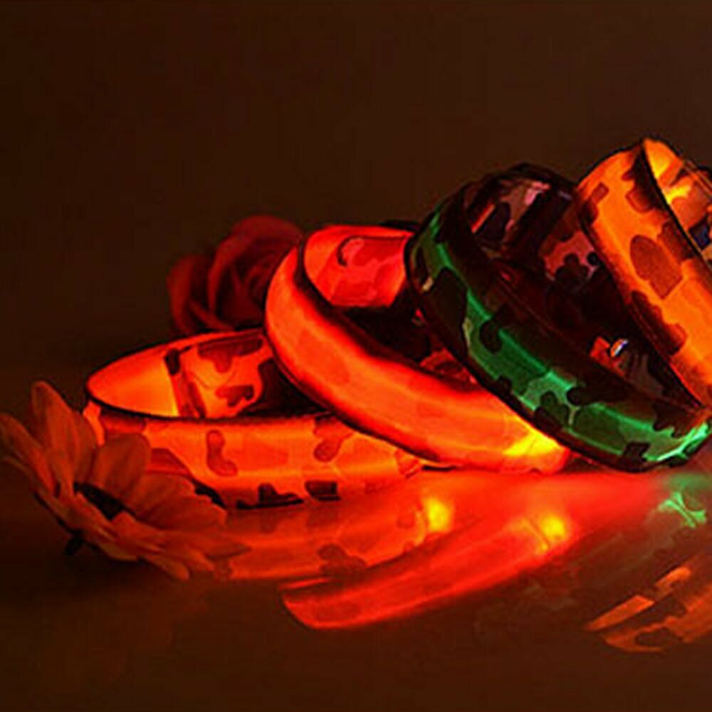 LED dog collar for the cold season and for the evening walk