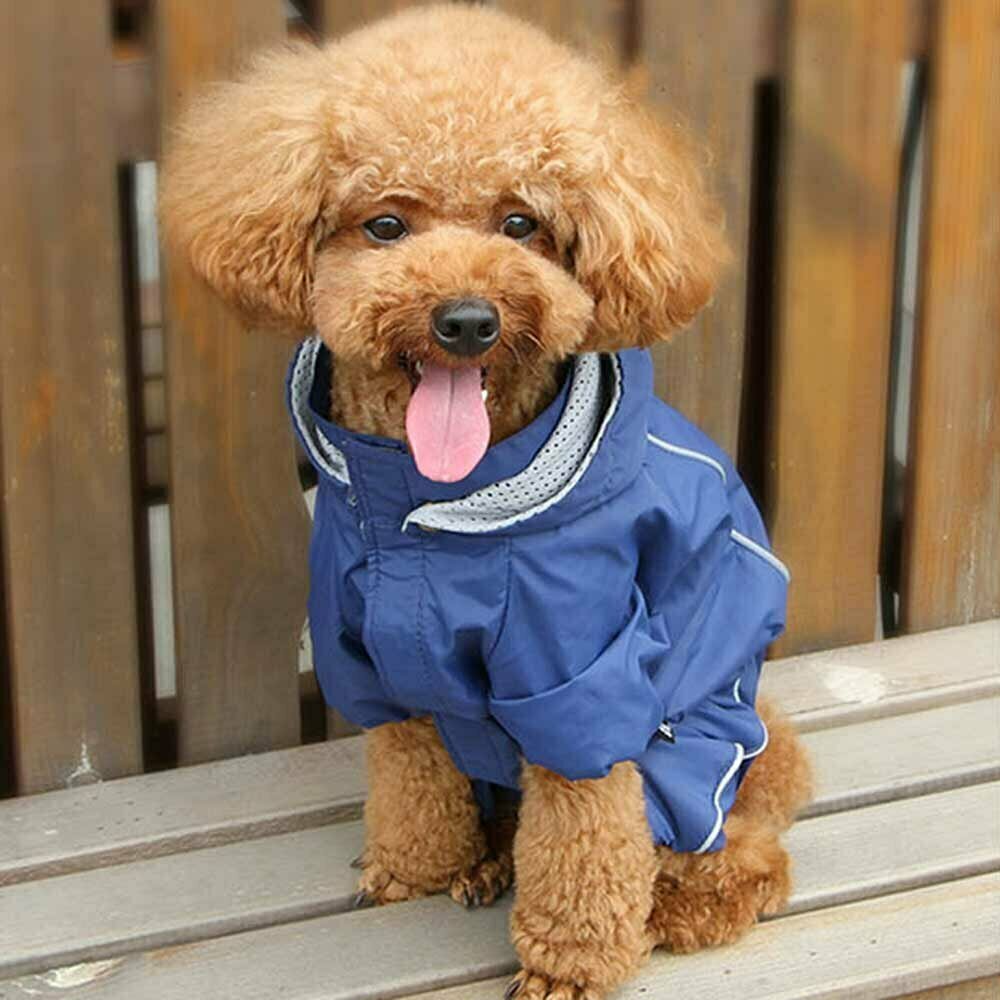 Dog Raincoat for small dogs