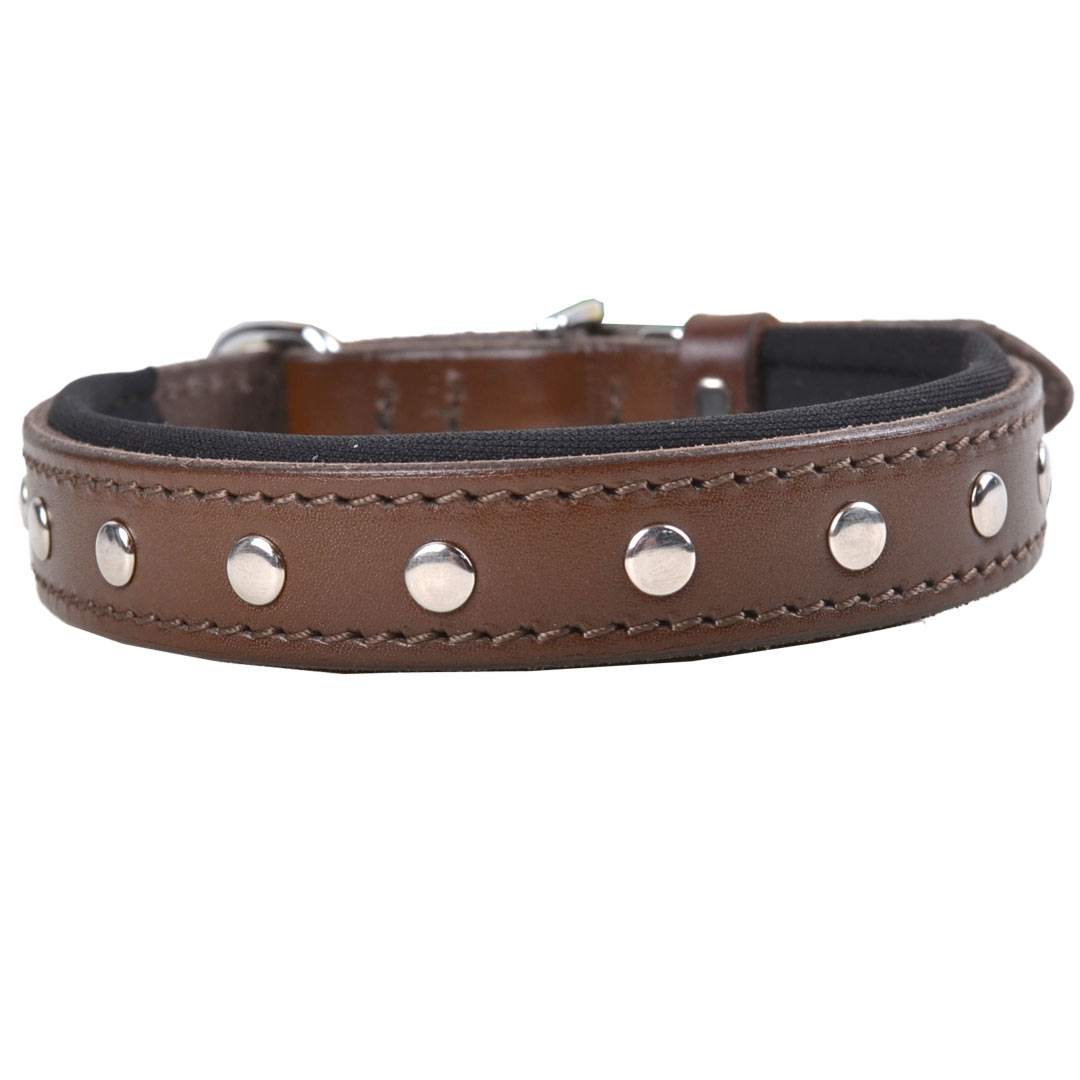 Gorgeous brown leather dog collar with beautiful flat studs
