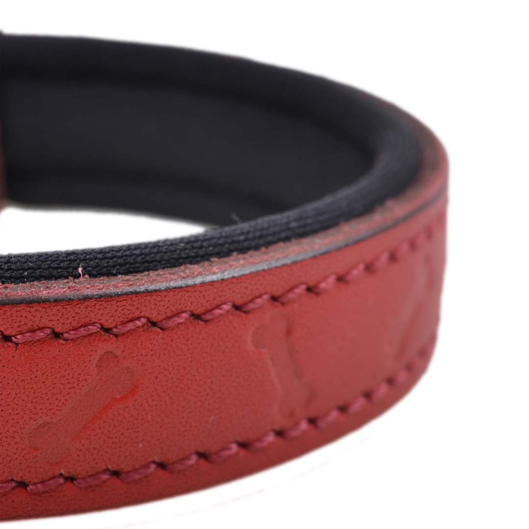 Soft Padded Leather Dog Collar with Bone