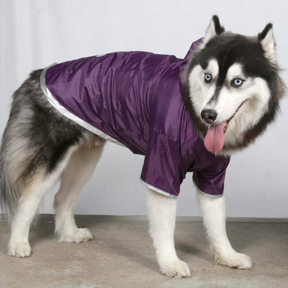 Big Dog dog raincoat Purple