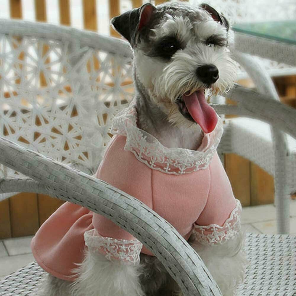 Warm dog gown - pink dog dress