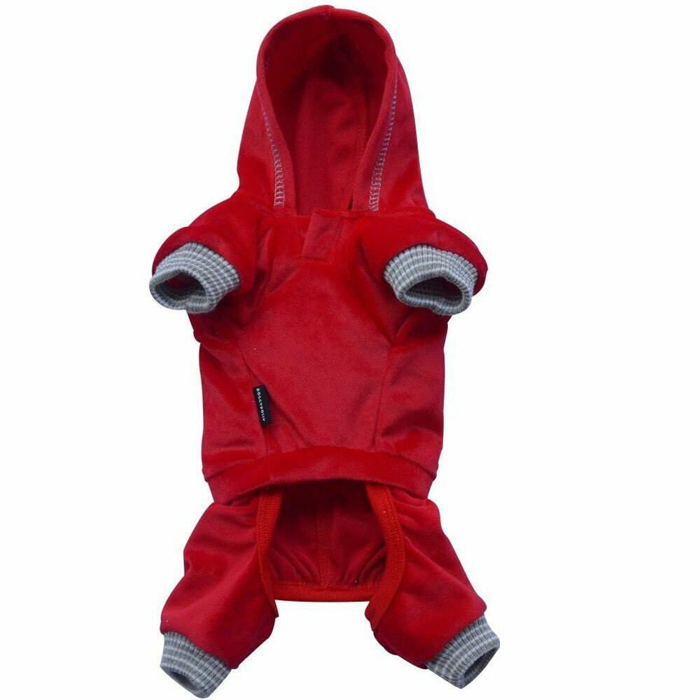 Rear View from DoggyDolly dog jogger red