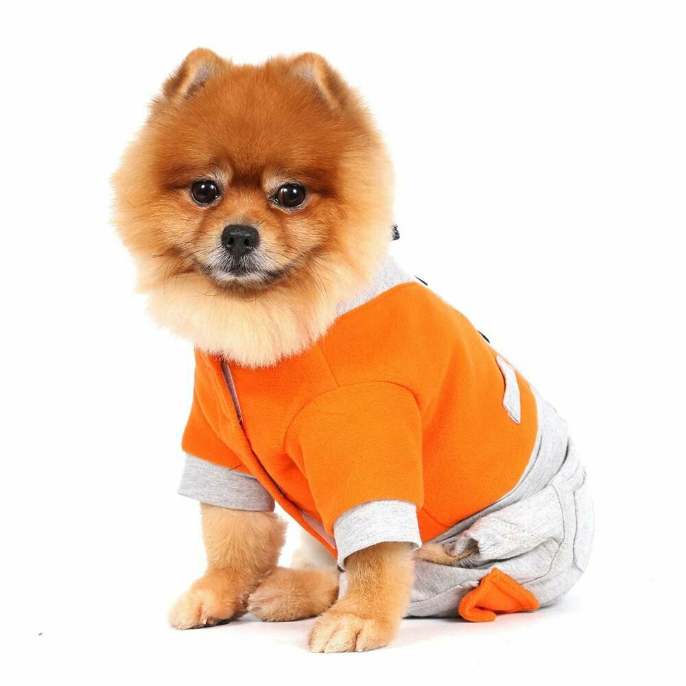 Warm dog coat orange in the form of a suit