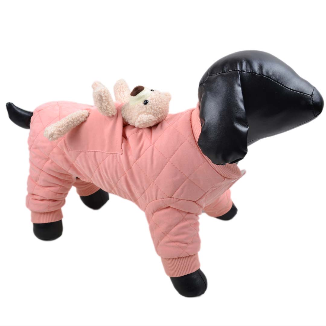 Warm Dog Coat for Winter pink with Teddy