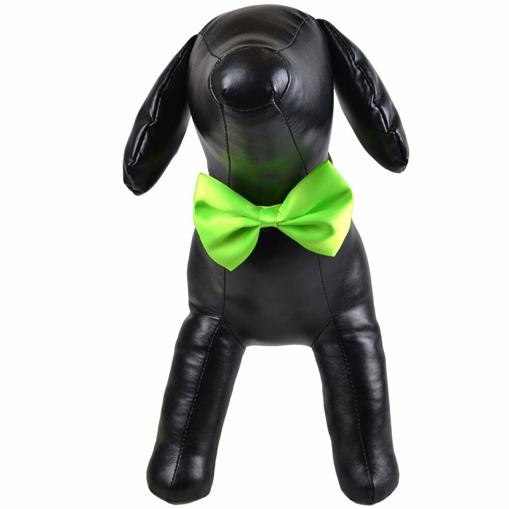 Lightgreen bow tie for dogs as fast binder