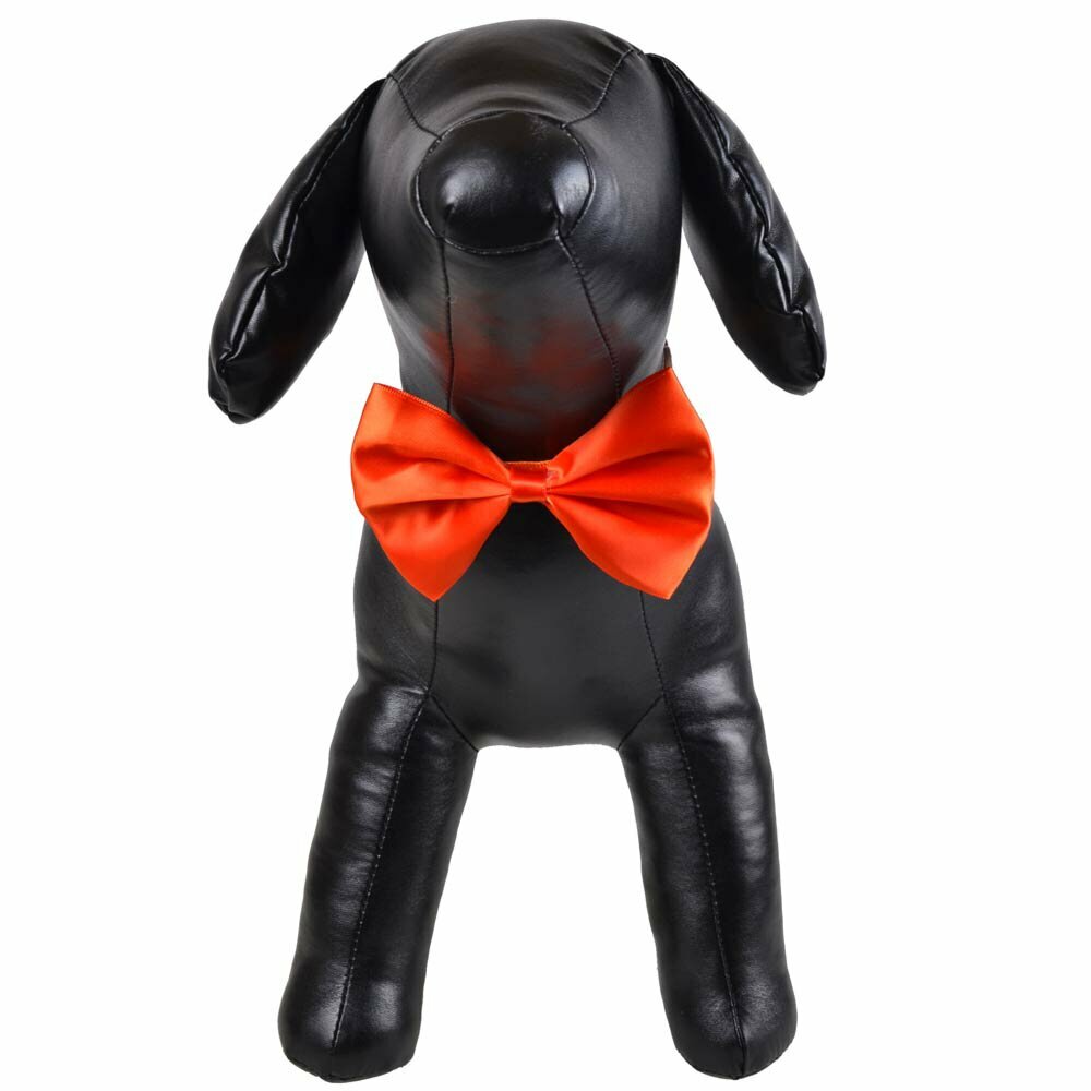 Orange bow tie for dogs as fast binder