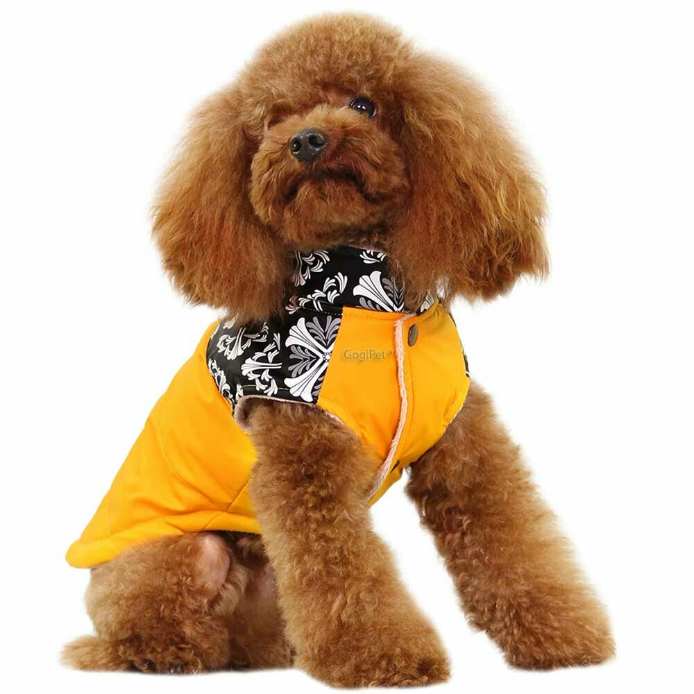 Outdoor dog coat "Nancy" yellow by GogiPet