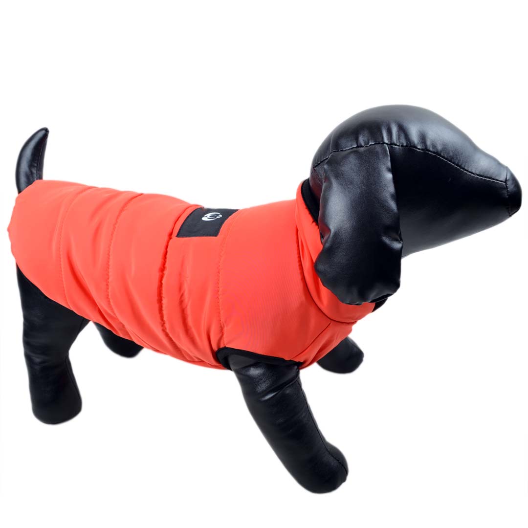 warm parka for dogs orange - warm dog clothing