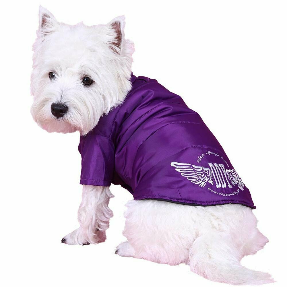 Beautiful dog anorak purple - warm dog clothes