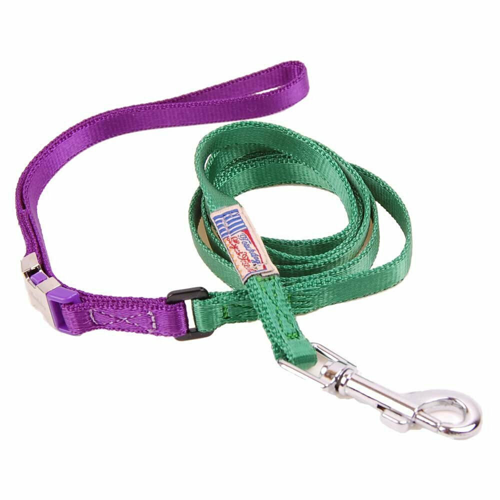 Cheap dog collars and dog leashes in the onlinezoo  set