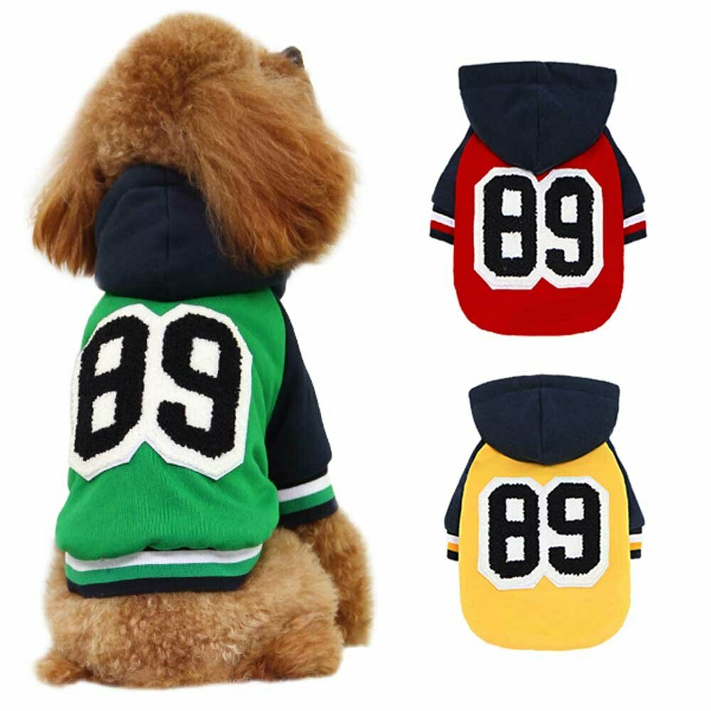 GogiPet dog clothes for modern dogs