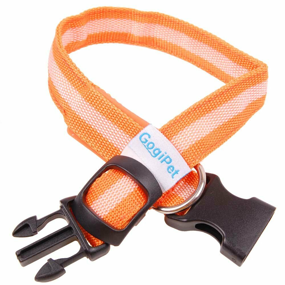 Flashing dog collar from GogiPet - orange luminous dog collar