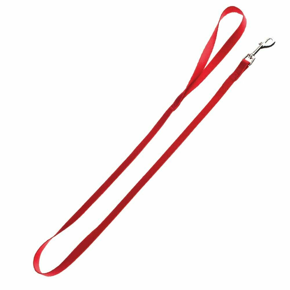 Nylon dog leashes red