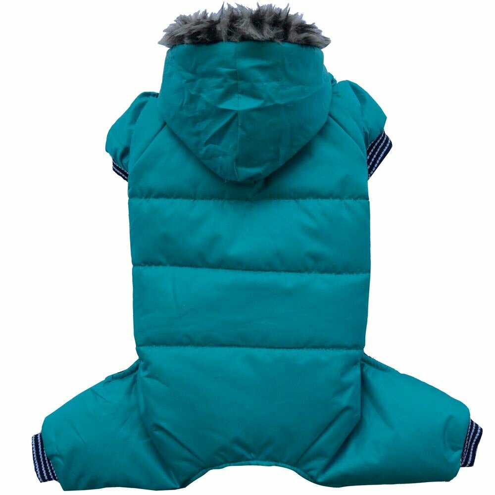 Green snowsuit for large dogs turquoise