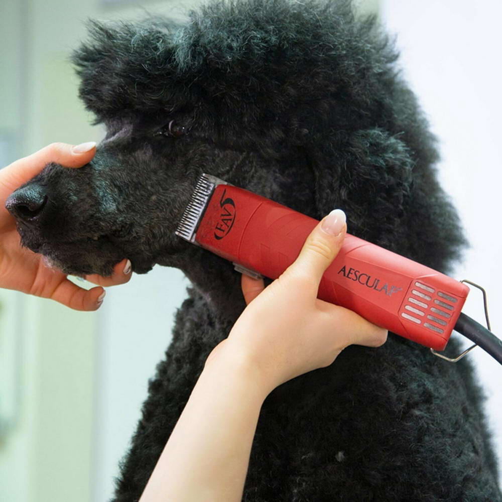 Aesculap Fav5 GT105 the clipper for dog groomers