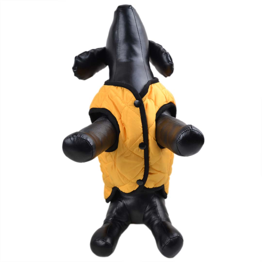 warm dog clothing - yellow dog anorak