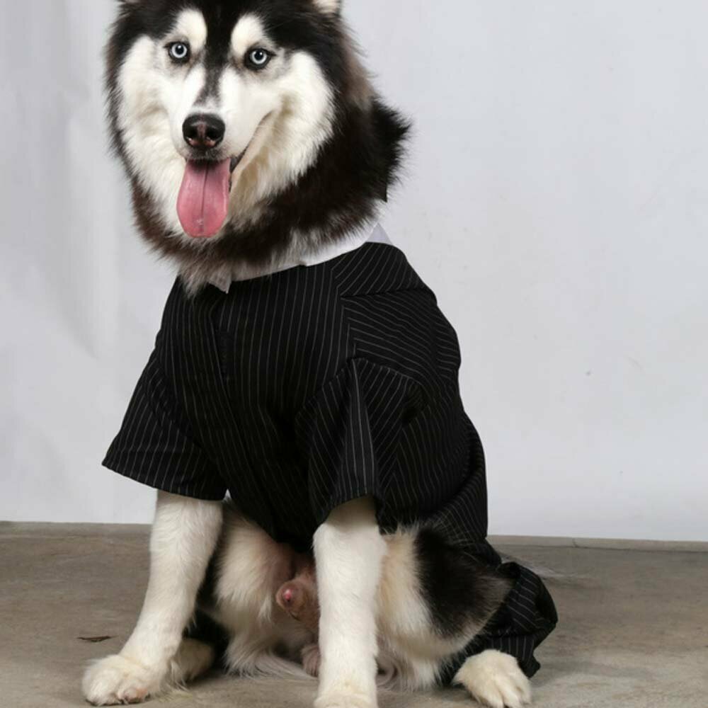 Dinner jacket for Dogs DoggyDolly Big Dog Dog Clothing