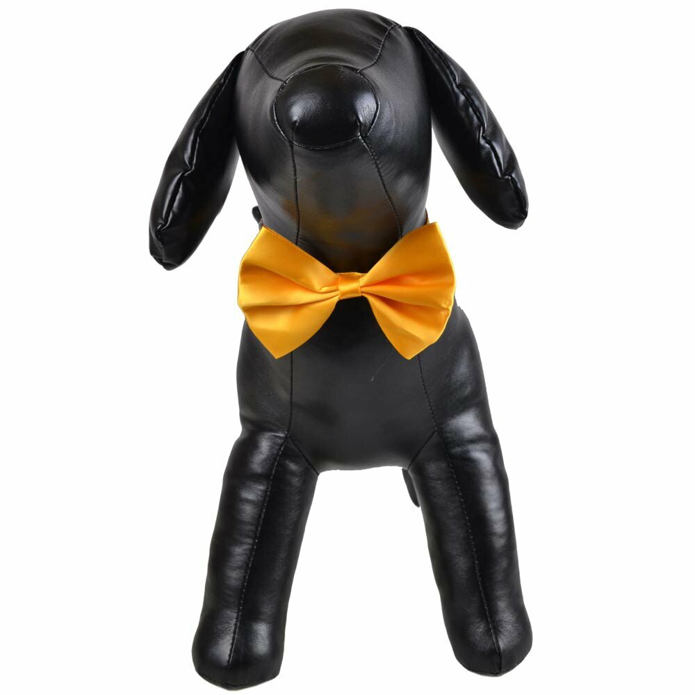 Yellow bow tie for dogs as fast binder
