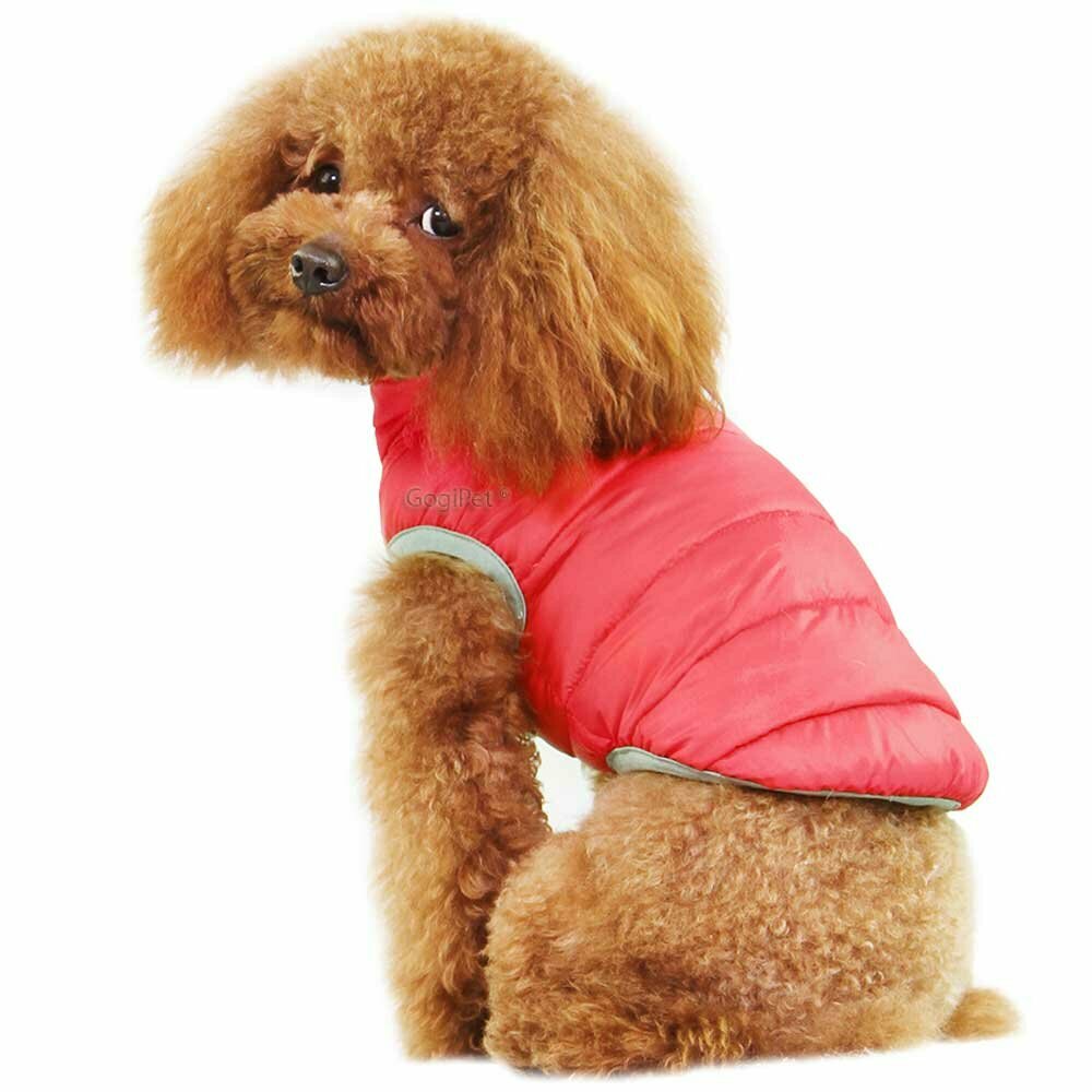 Gorgeous dog jacket the warm dog garment for turning