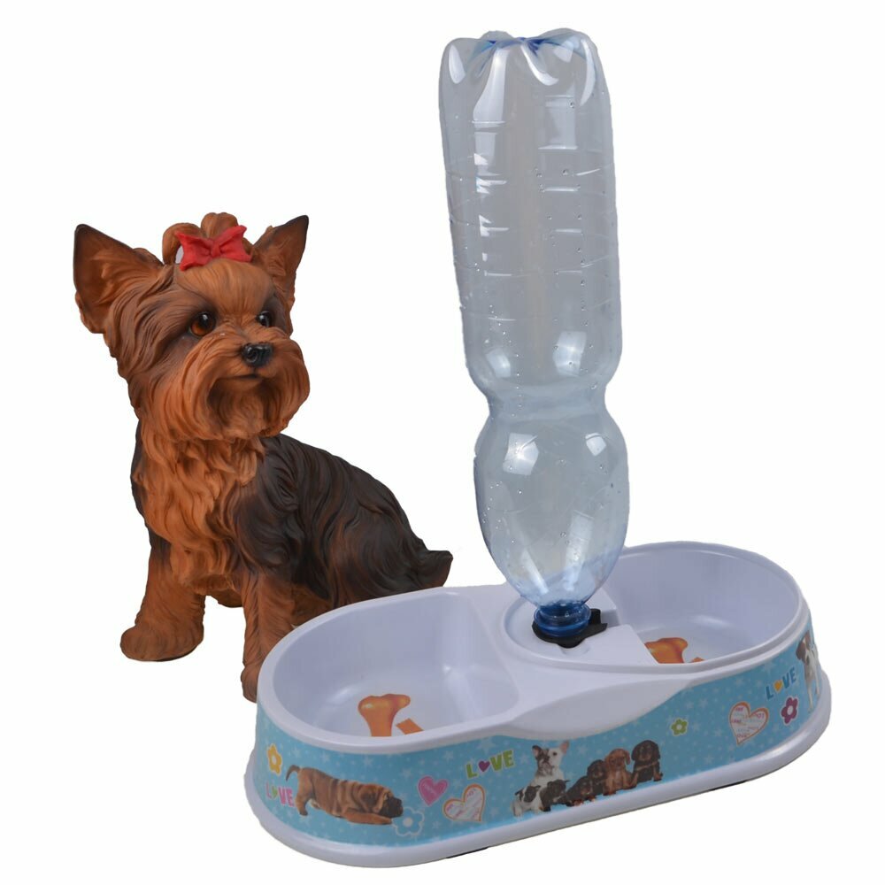 Automatic water dispenser for dogs with food cup blue
