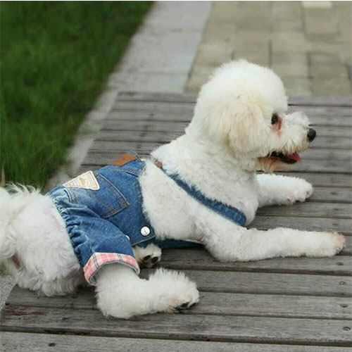 Trousers and skirts for dogs