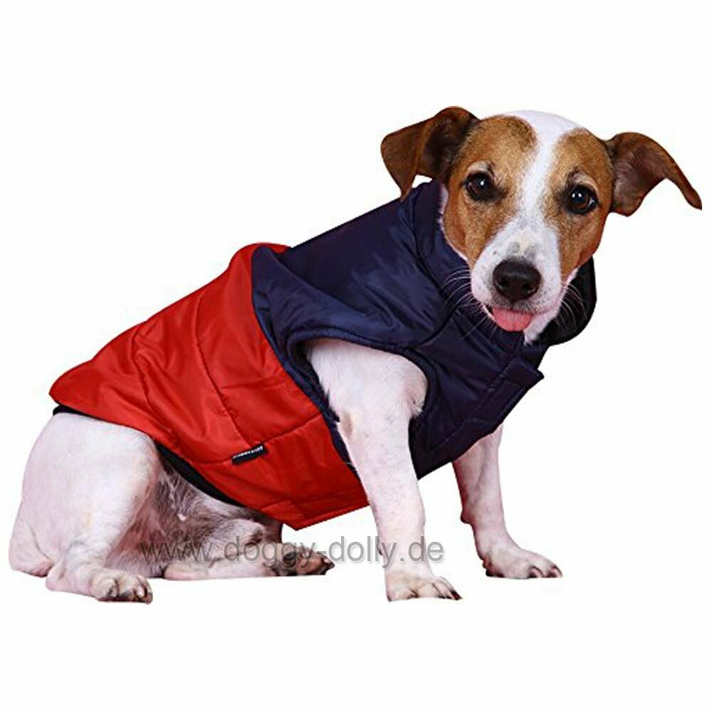 red blue dog coat for the winter DoggyDolly W049 