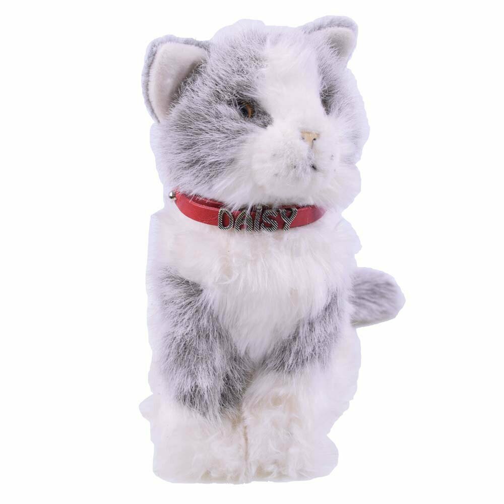 Beautiful collar for cats and small dogs for names and numbers