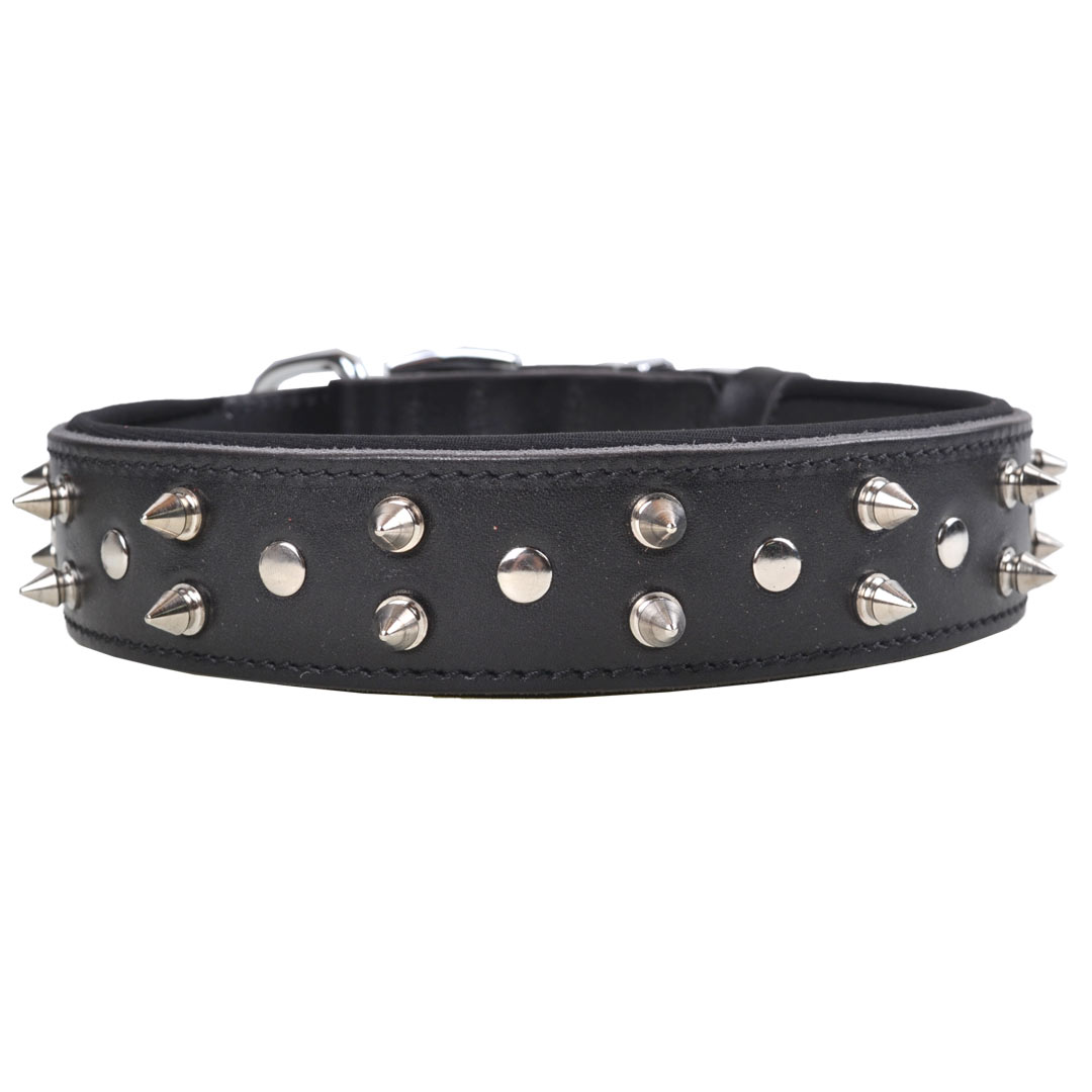 Rivet dog collar for large dogs and small dogs by GogiPet