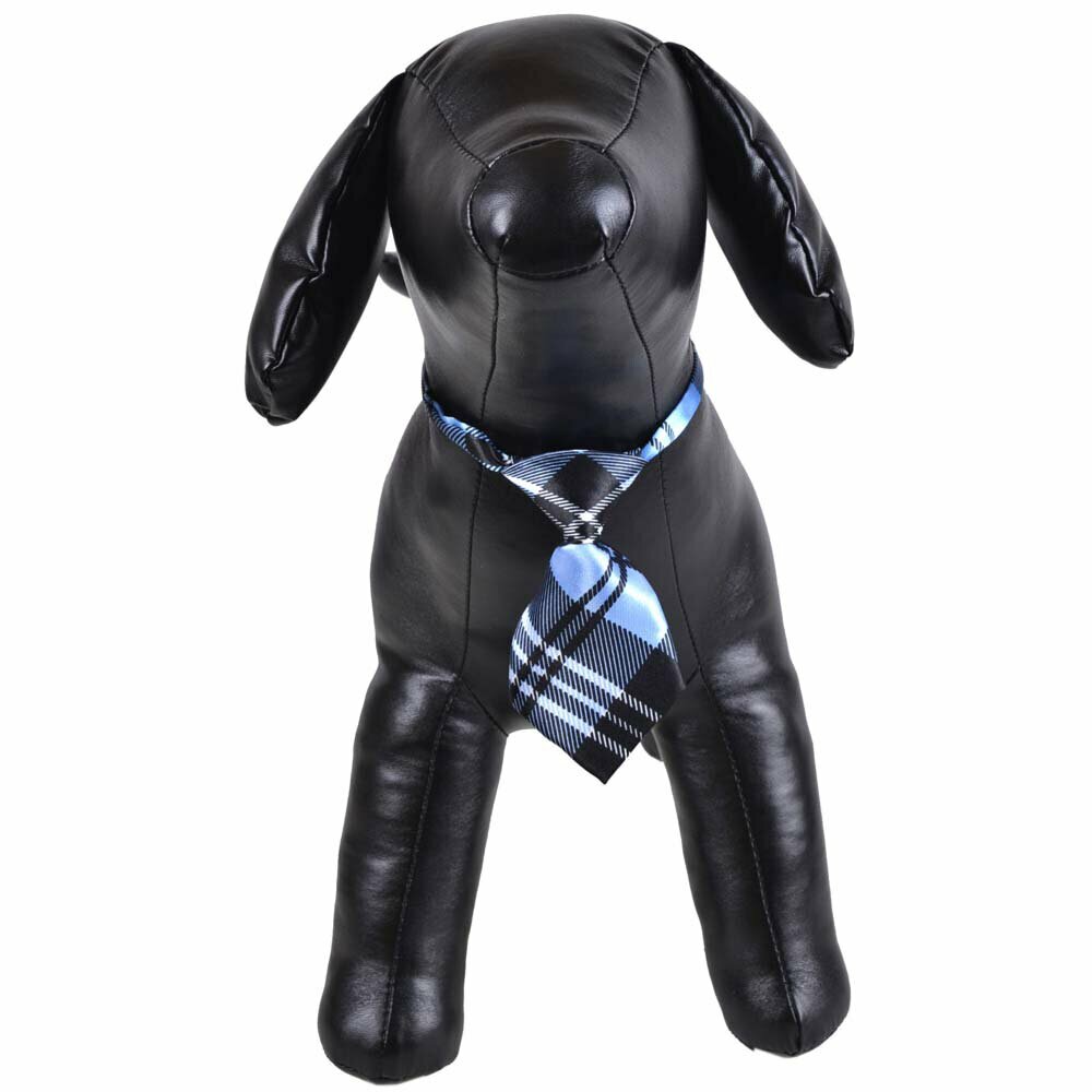 Necktie for dogs blue, white squared