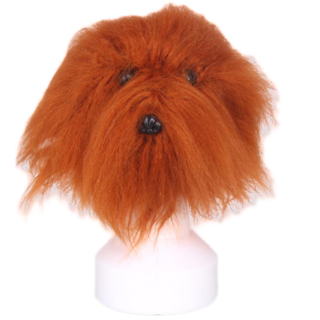 Brown fur for dog head styling training