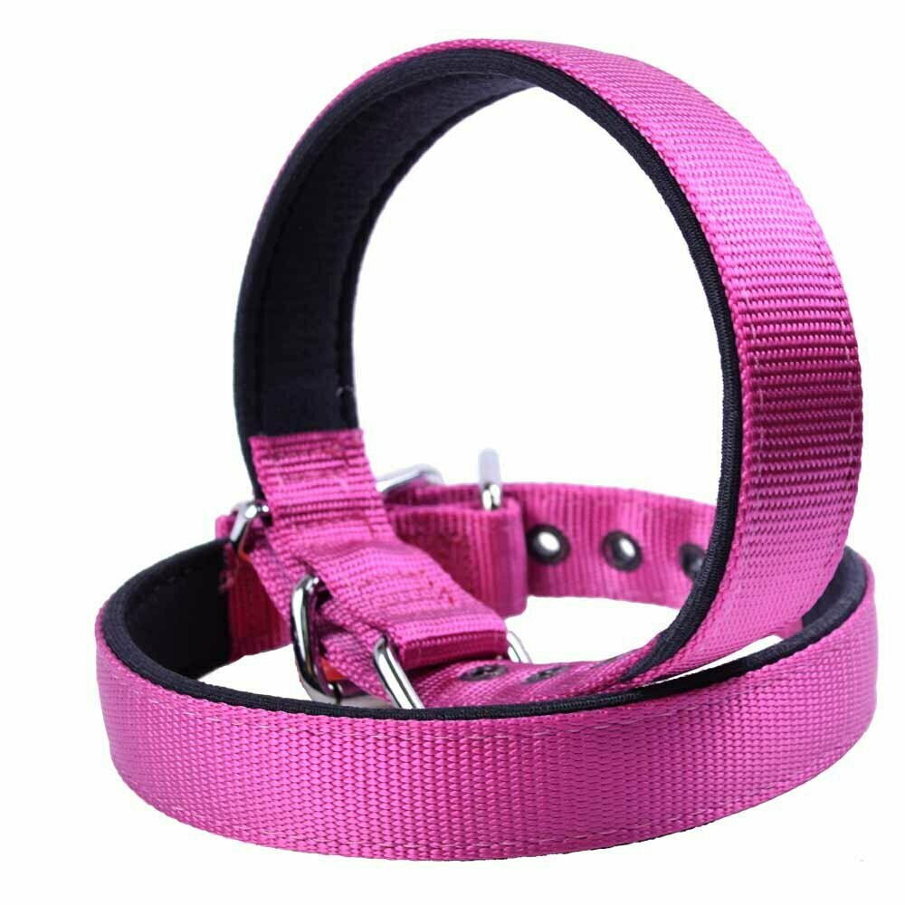 Padded GogiPet® comfort Super Premium dog collar purple