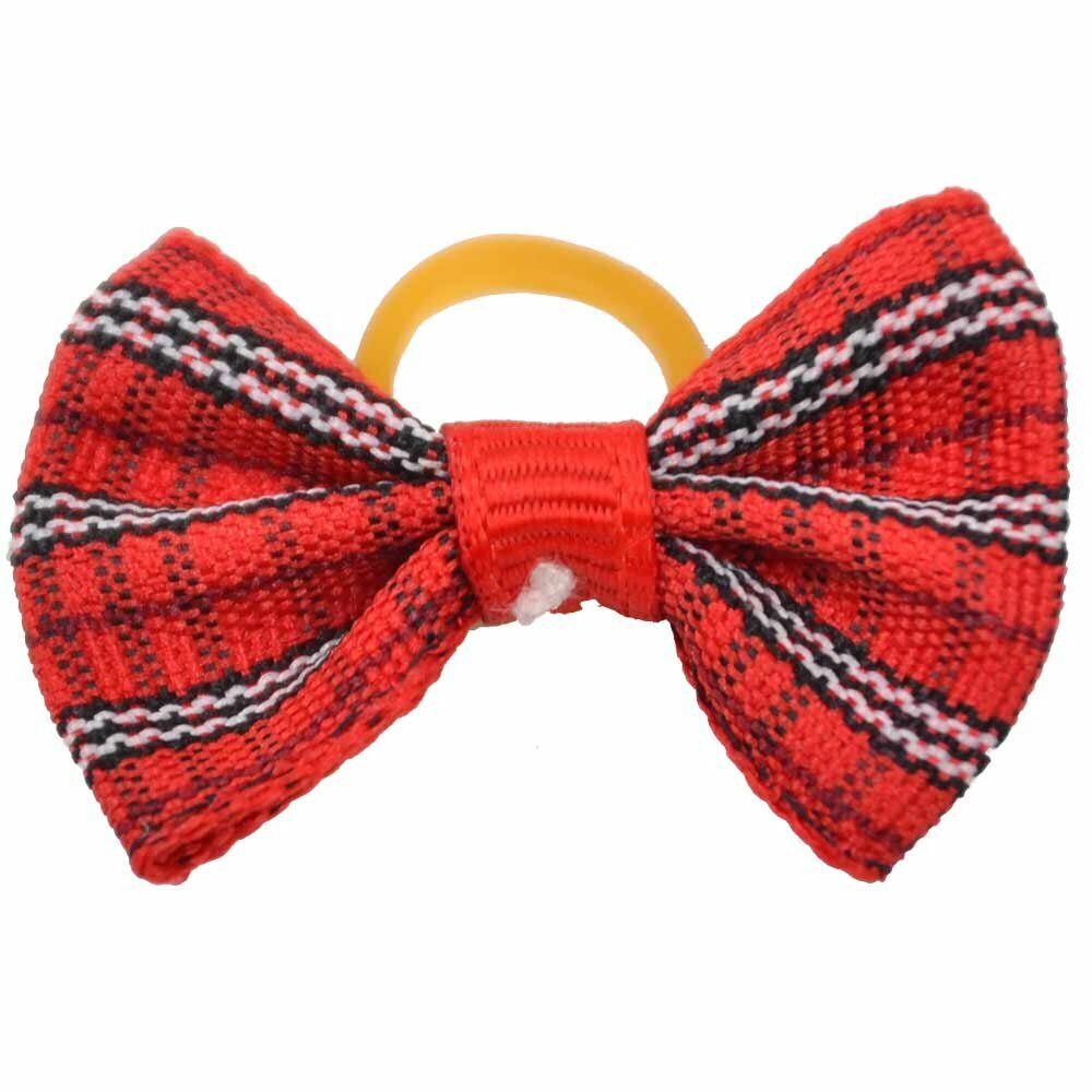 Dog bow with rubber ring - Pedro red checkered by GogiPet